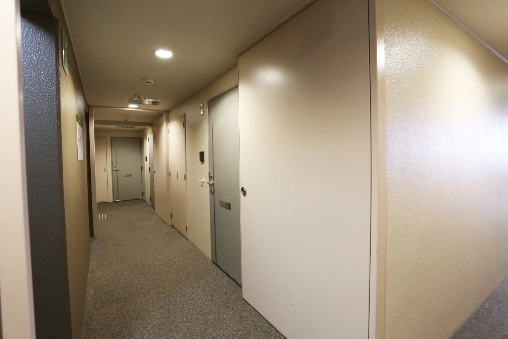 Photo - Rinn Sanjo Ohashi East