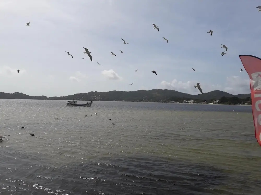 Foto - Lagoa Nômade Hostel