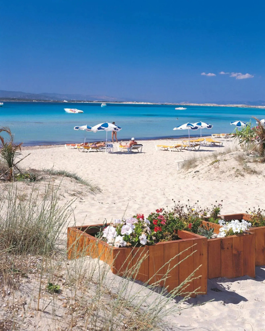 Photo - Hotel Riu Palace La Mola