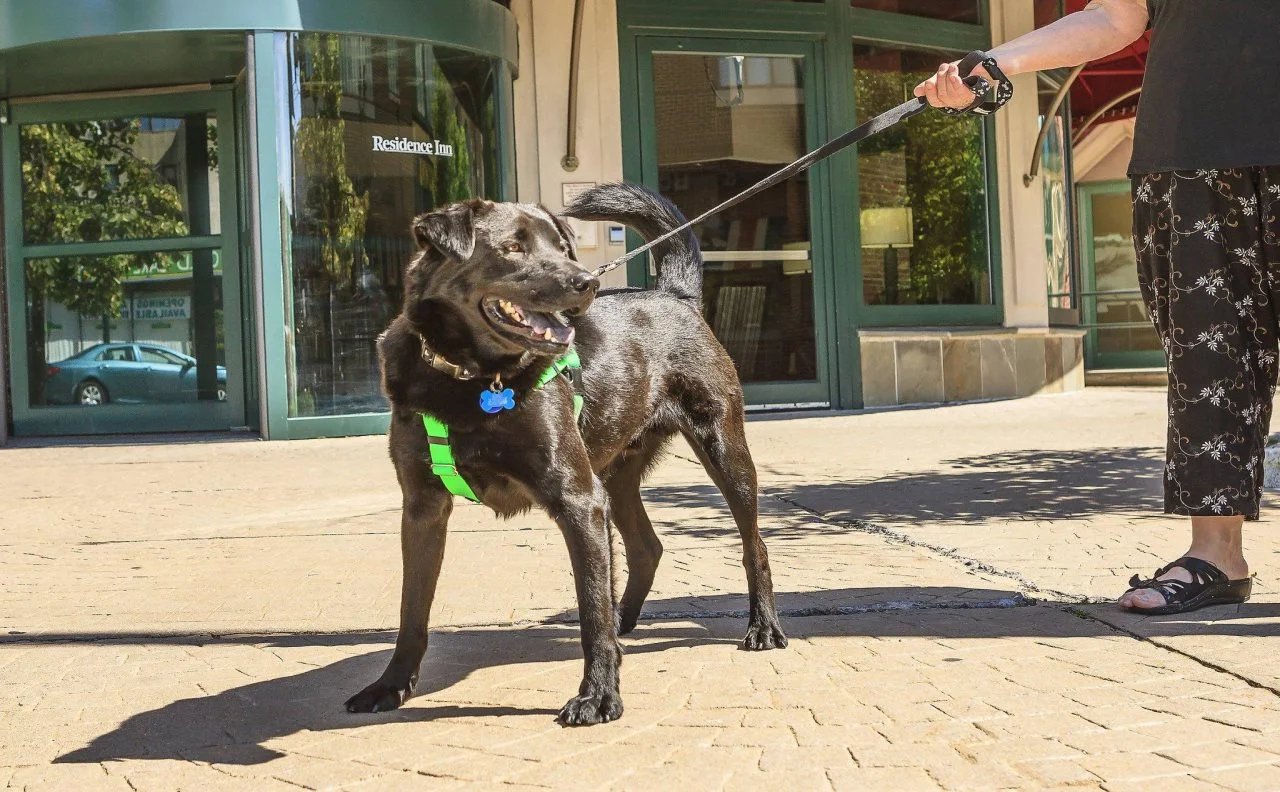 Foto - Residence Inn New Rochelle