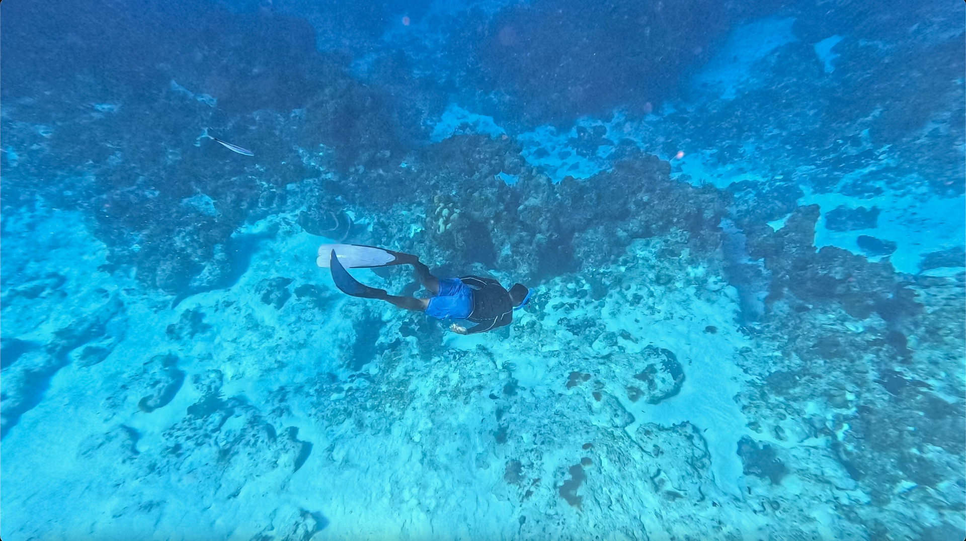 Foto - The Explorean Cozumel - All Inclusive