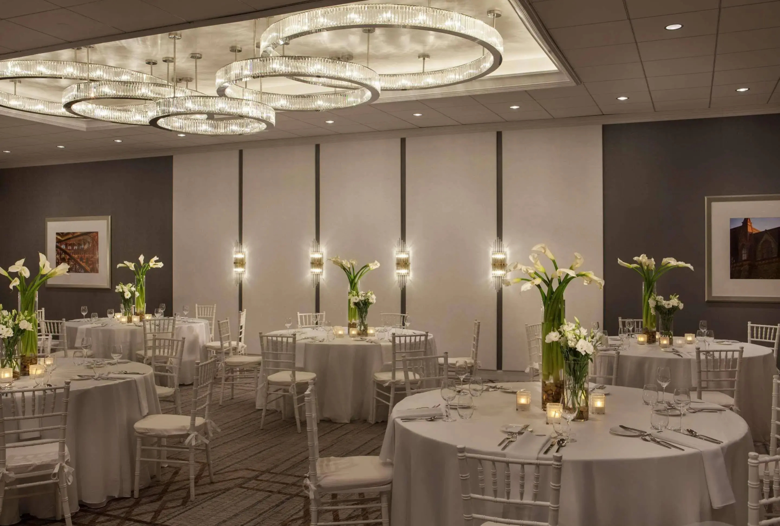 Foto - Sheraton Philadelphia University City Hotel