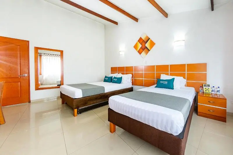 Foto - Optimum Hotel Pereira