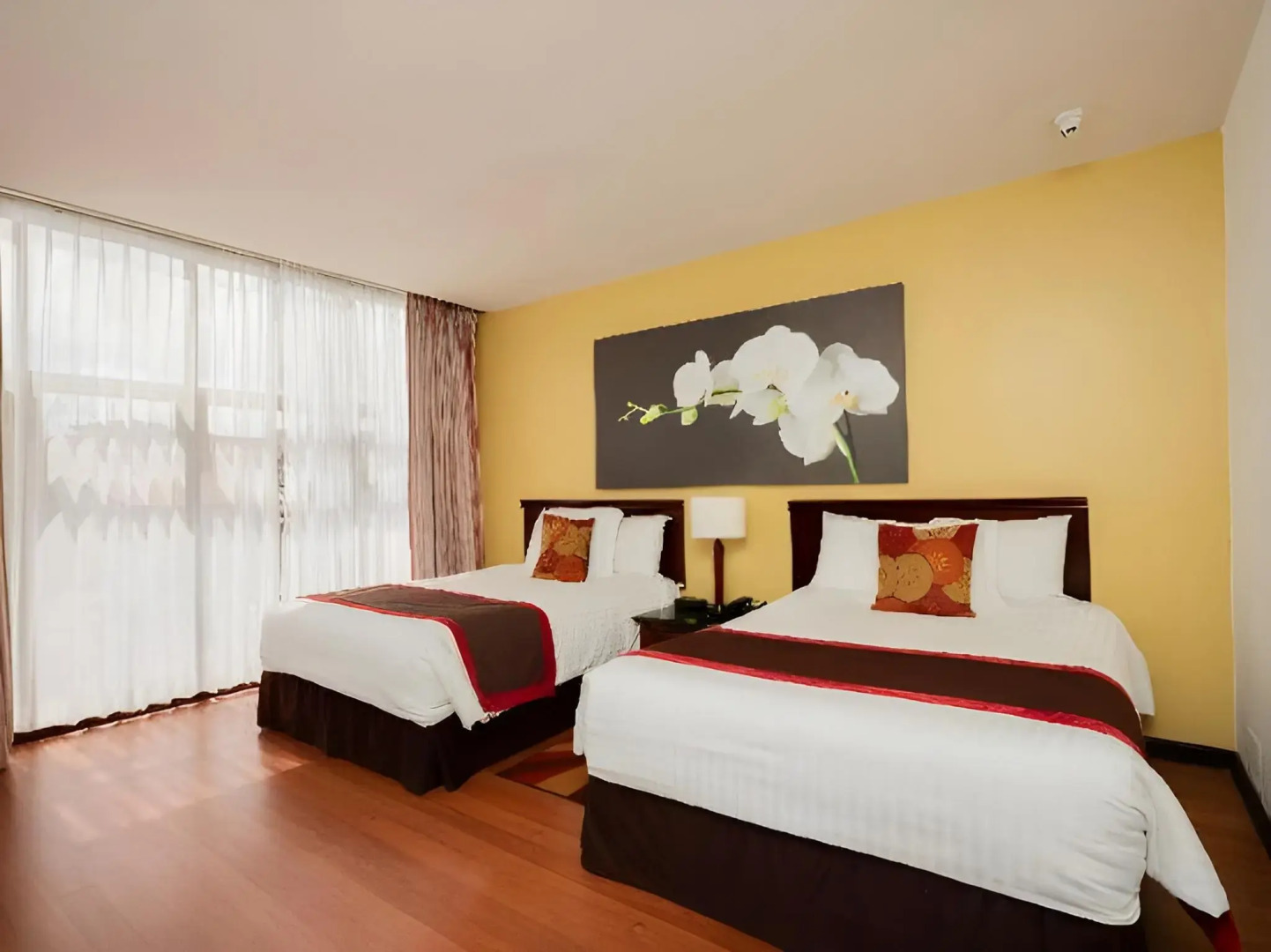 Photo - Hotel Palma Real