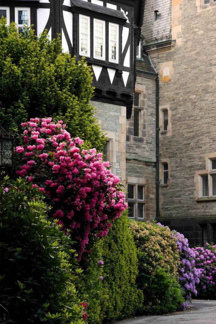 Photo - Schlosshotel Kronberg - Hotel Frankfurt