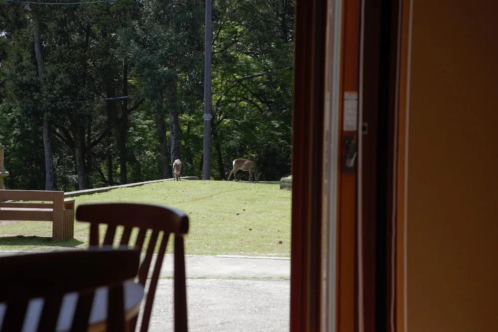 Foto - Mountain Home Lodge in Deer Park