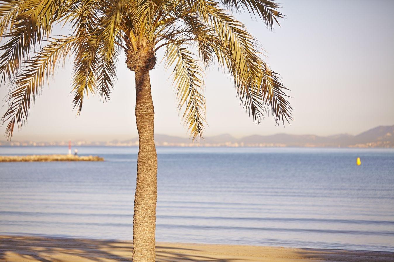 Photo - MLL Mediterranean Bay Hotel - Adults Only