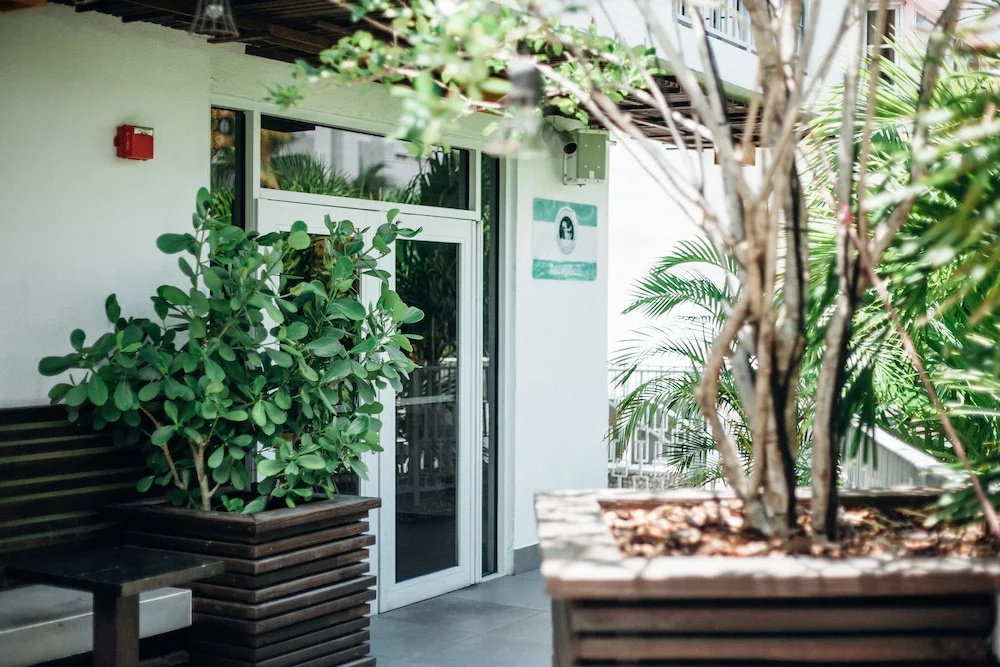 Photo - Casa Sobe