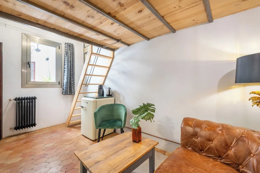 Photo - Dog Admiral - Urban Guest House