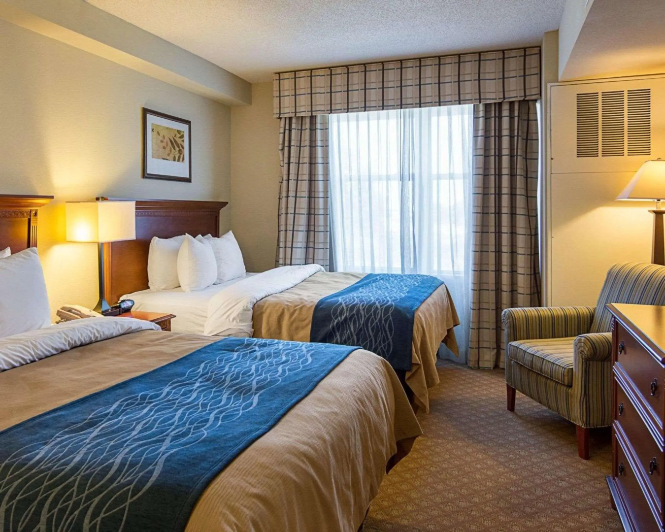Foto - Comfort Inn & Suites Virginia Beach - Norfolk Airport