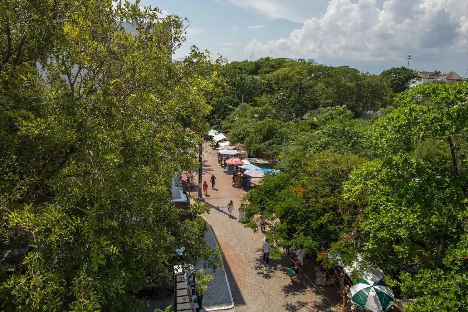 Foto - San Pedro Hotel, 5ta Avenida