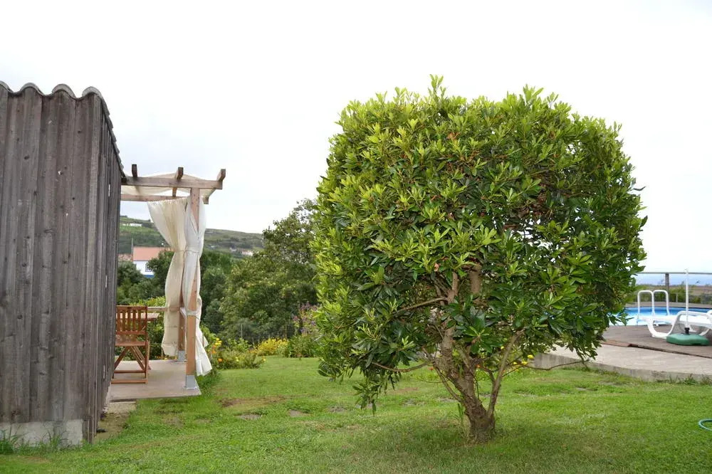 Foto - Tradicampo Eco Country Houses