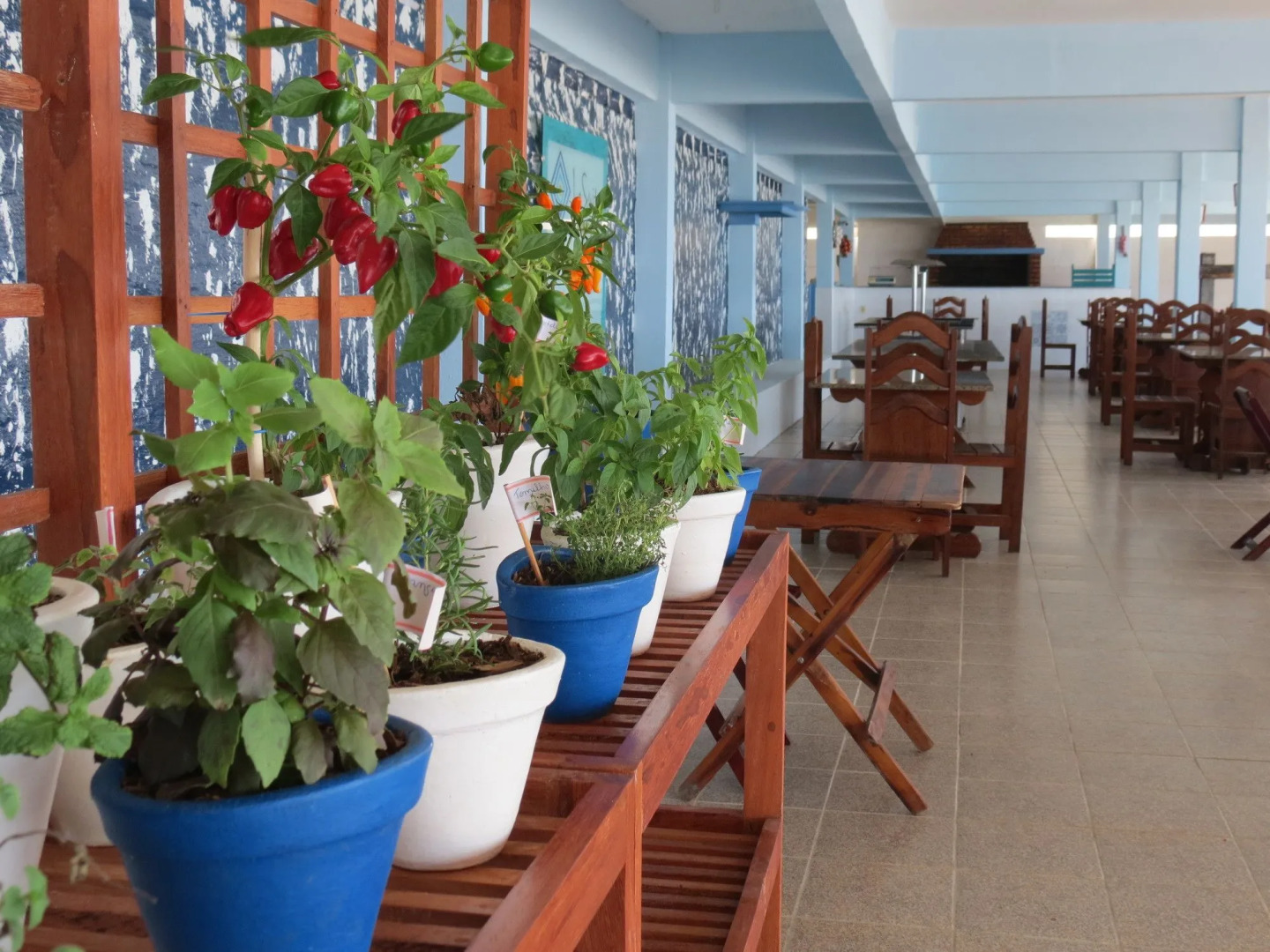 Photo - La Suite Praia Hotel