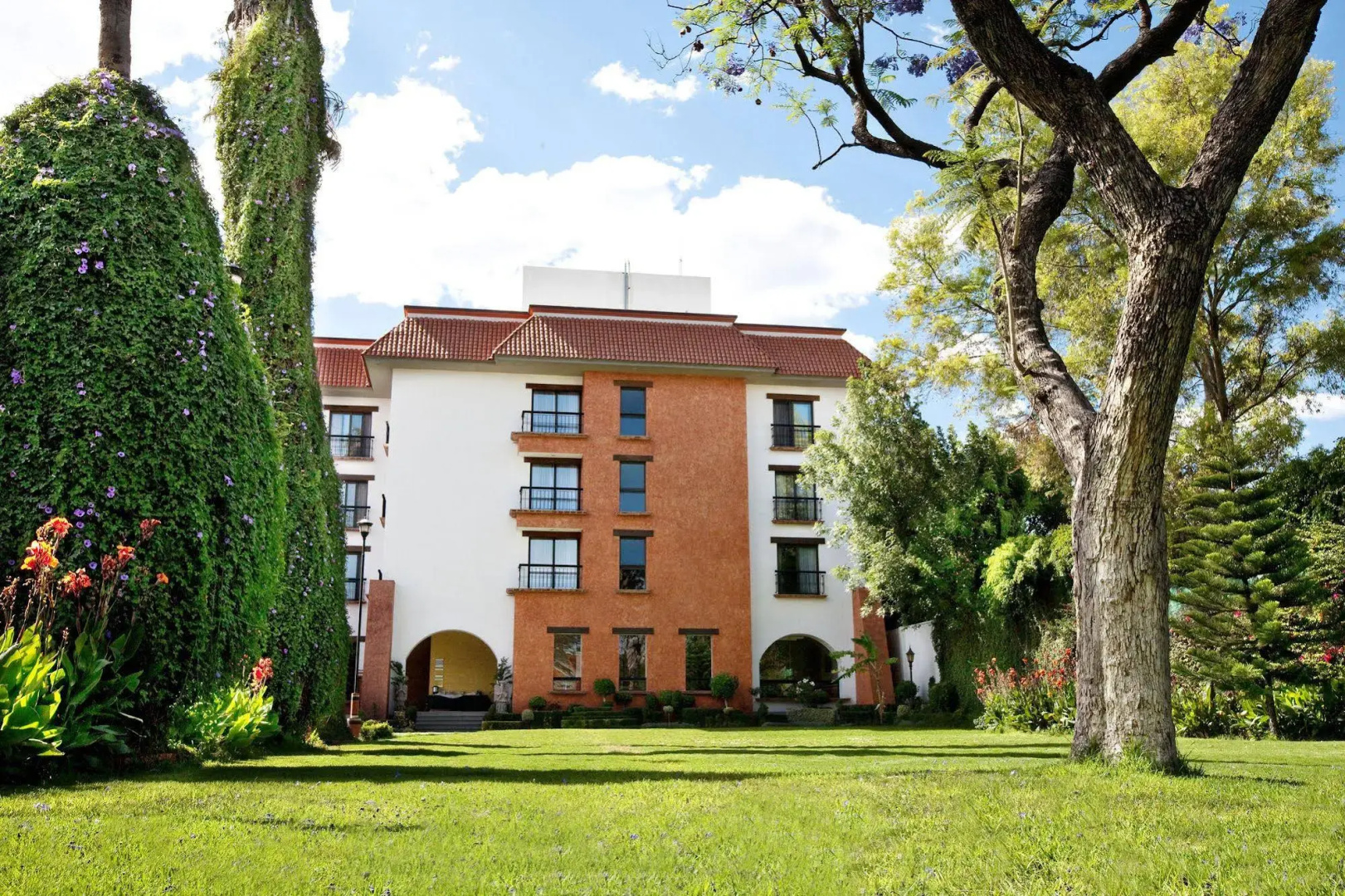 Foto - Hotel Flamingo Inn