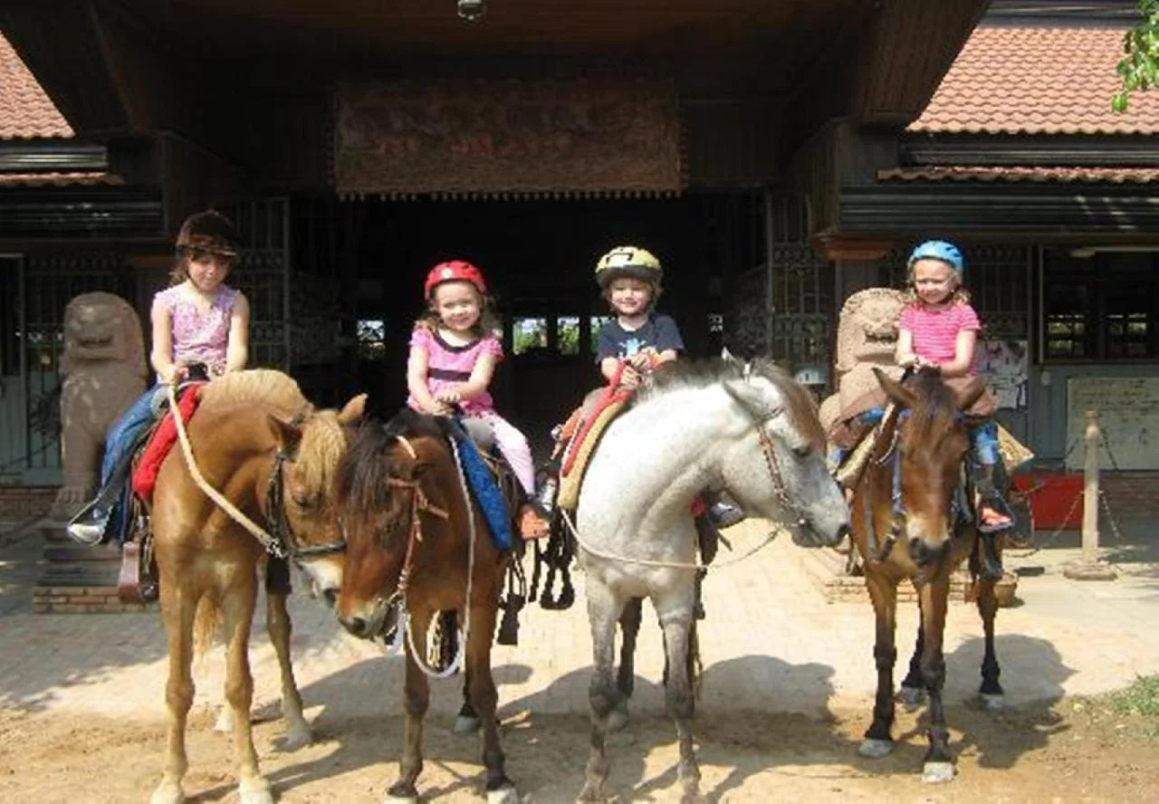 Photo - Siemreap City Residence