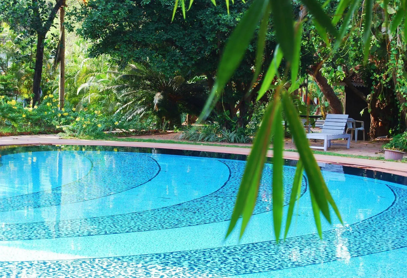 Foto - Granpa's Inn Hotel Bougainvillea