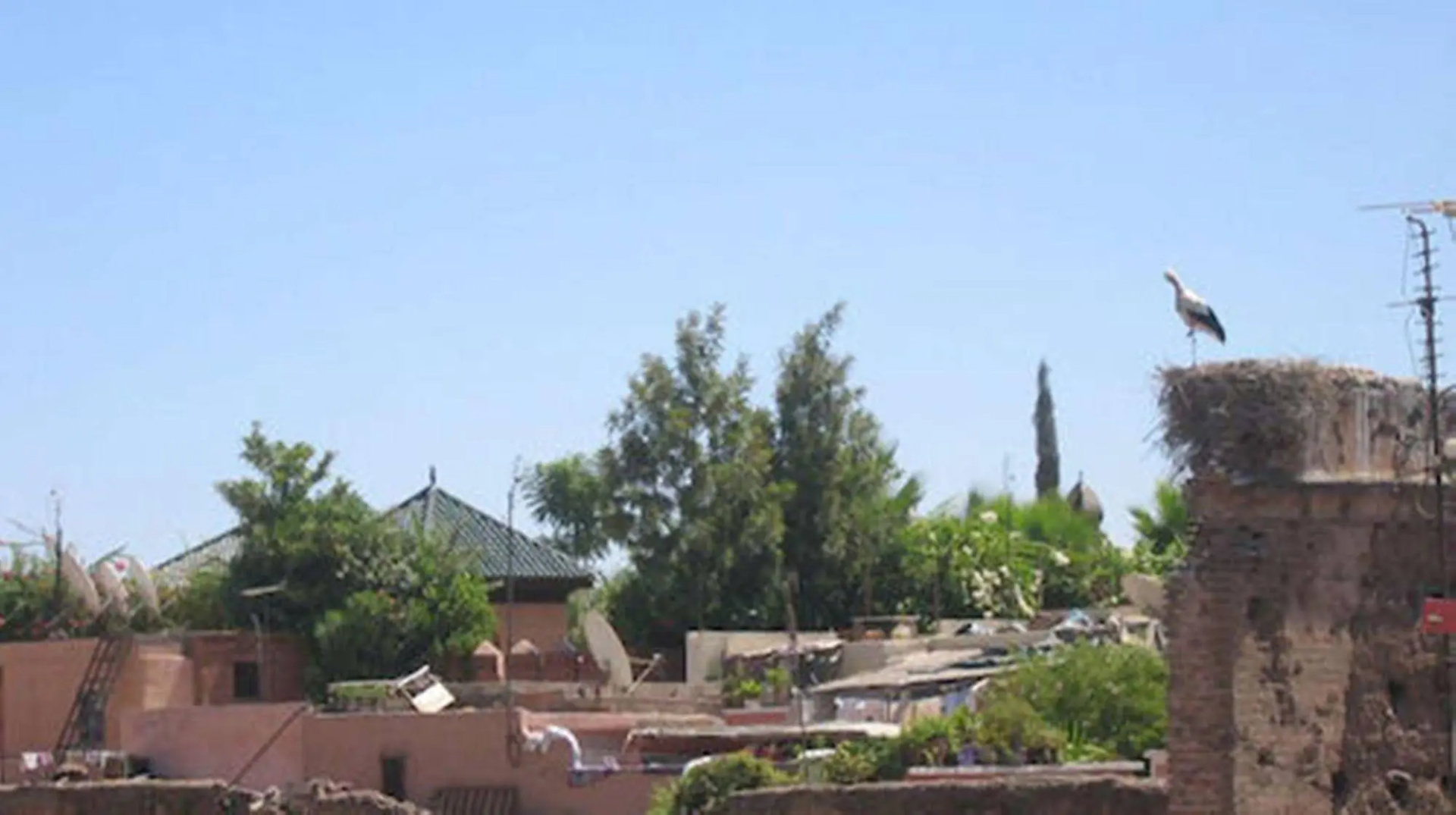 Foto - Riad Amin