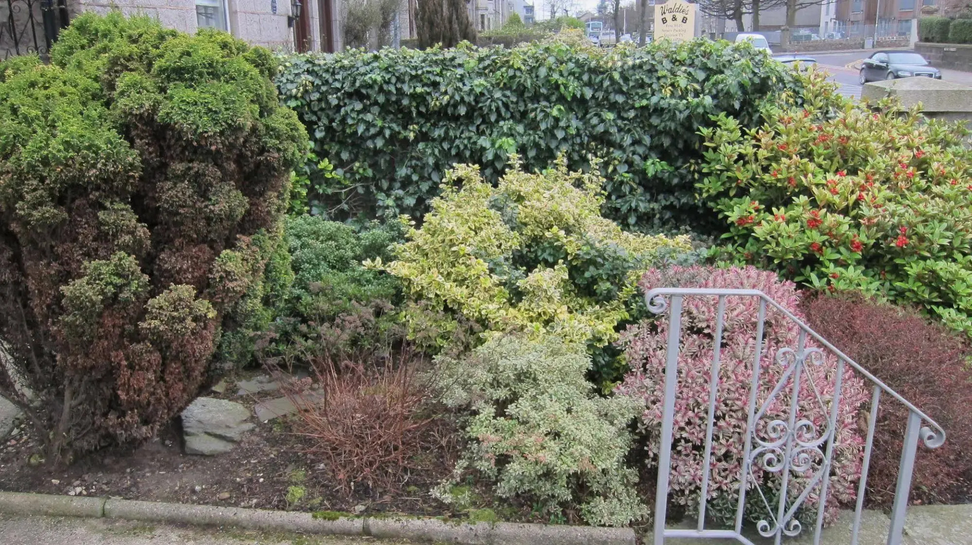 Photo - The Jays Guest House