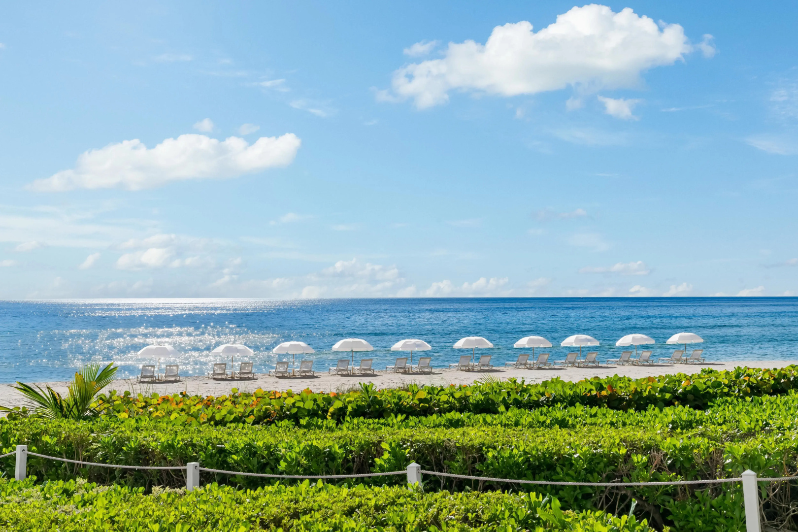 Foto - Trump International Beach Resort