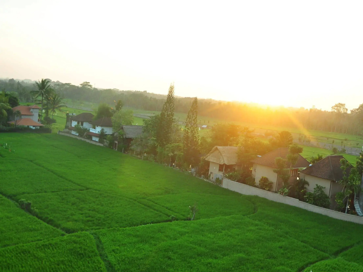 Foto - The Evitel Resort Ubud