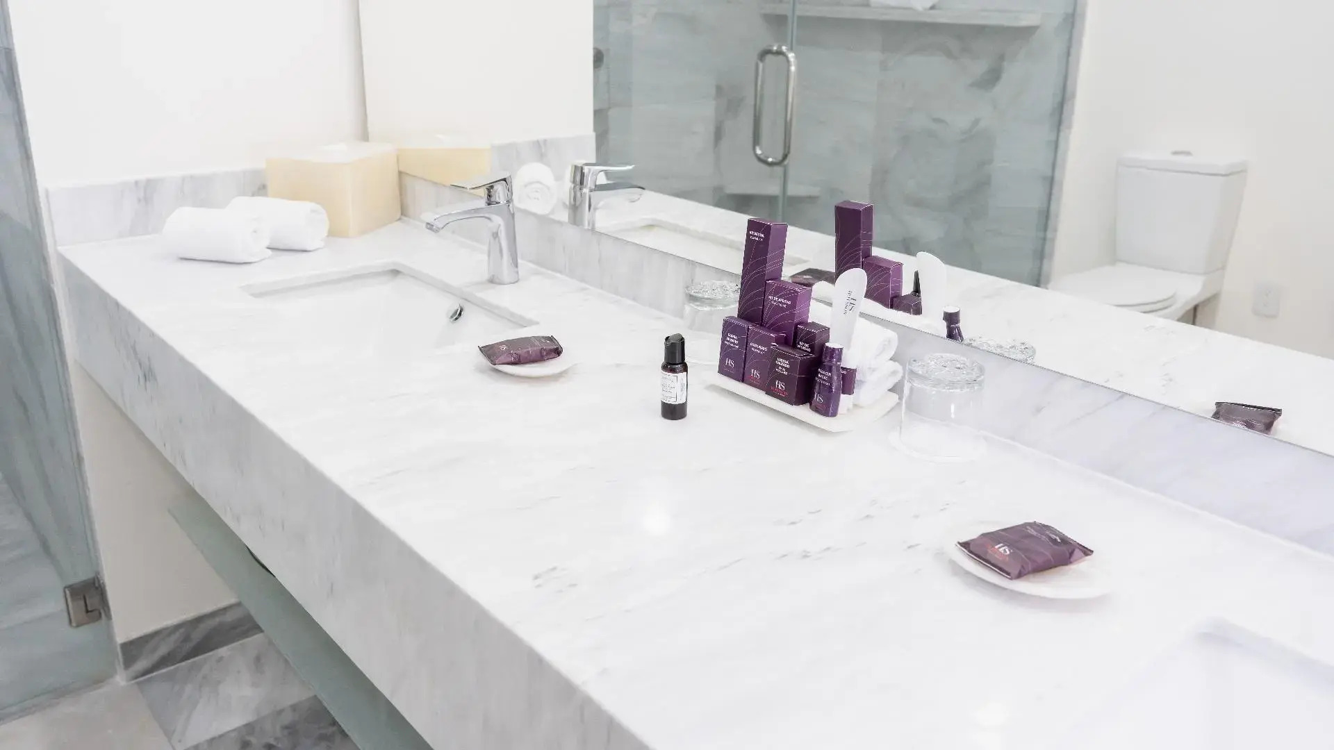 Foto - HS HOTSSON Hotel Queretaro