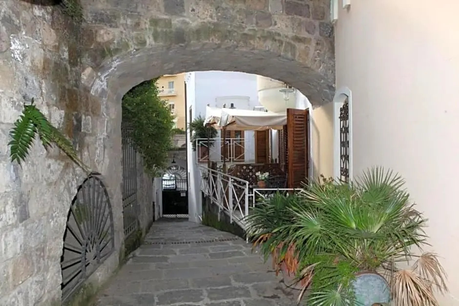 Photo - La Magnolia Sorrento - City Centre Hotel