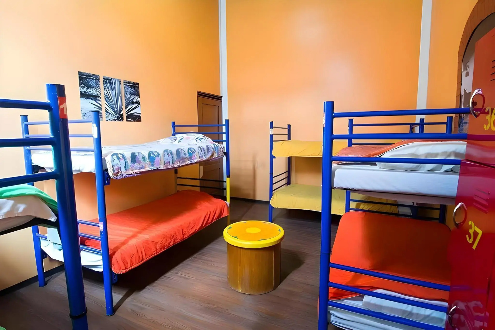 Photo - Hostal Amigo