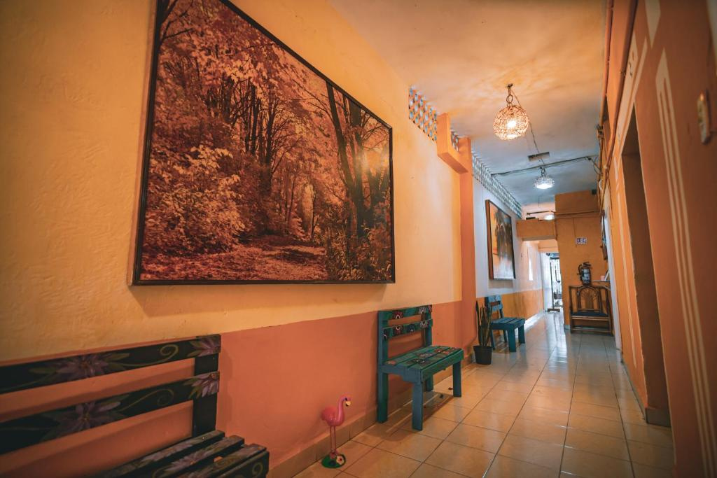 Foto - Hotel Posada Aurora