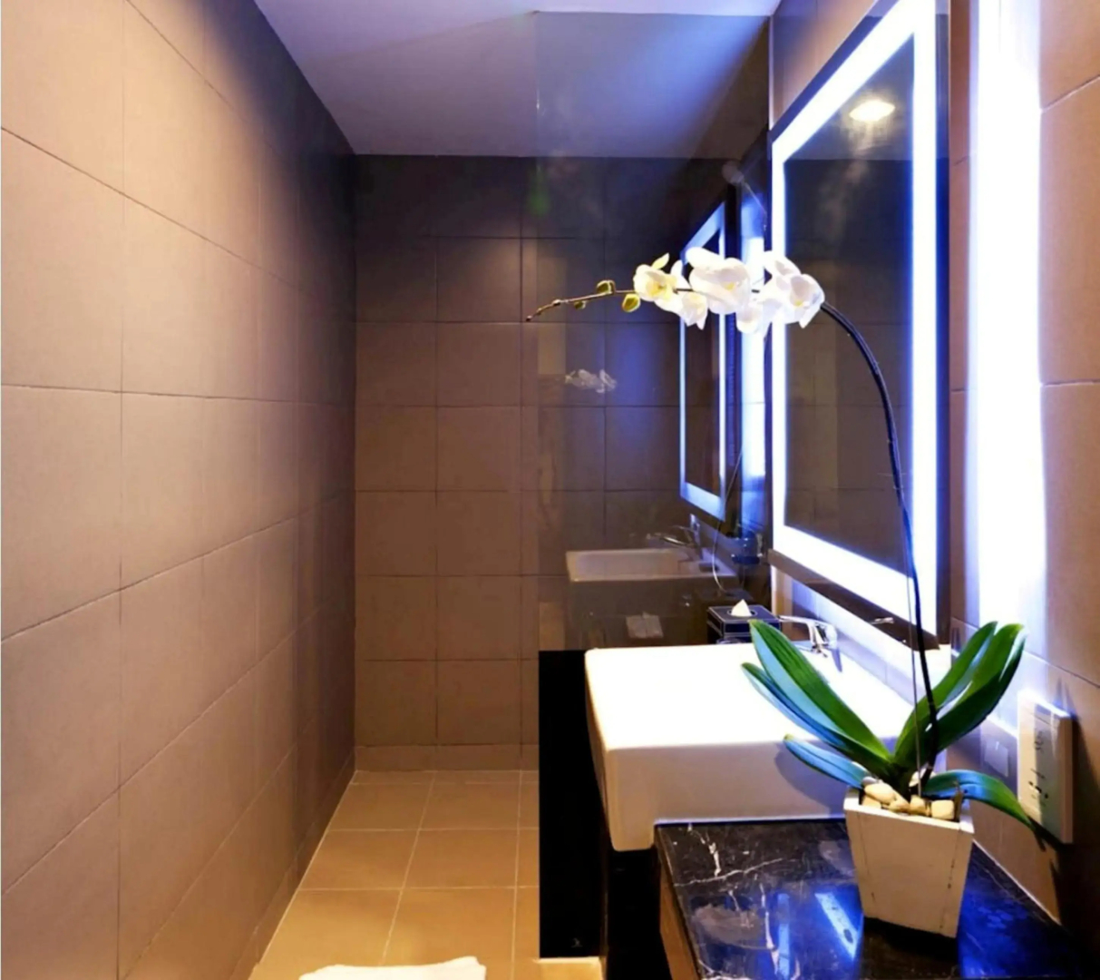 Foto - Euphoria Hotel