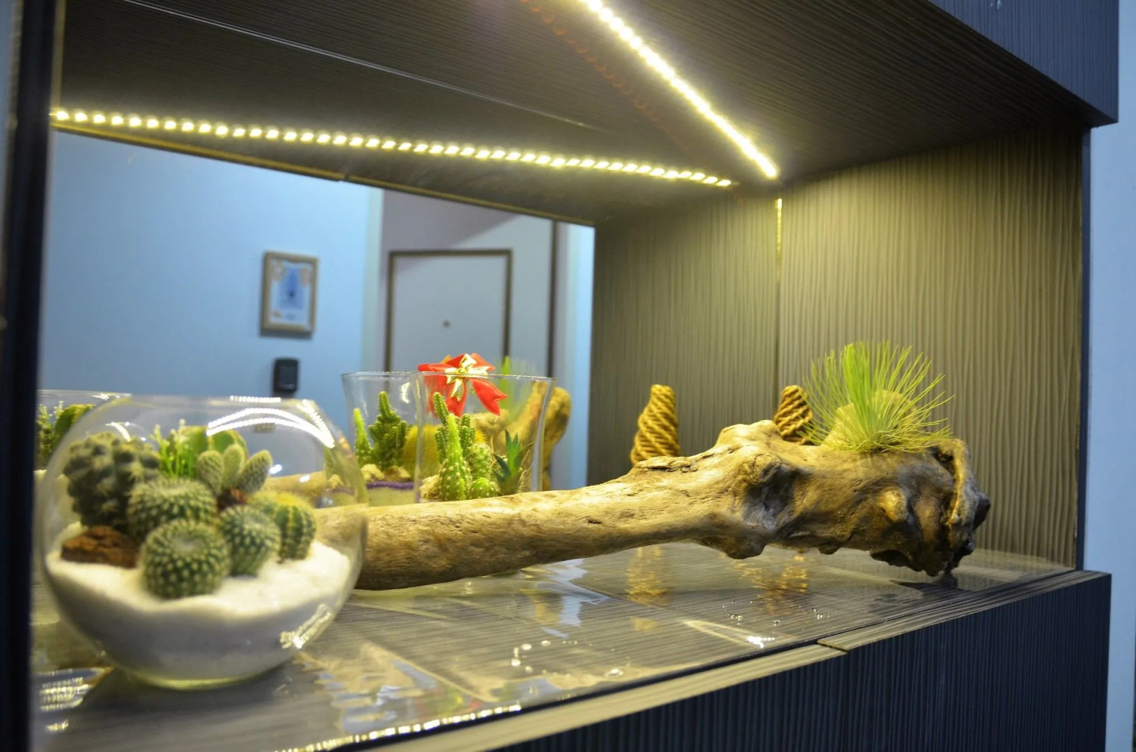 Foto - M Taipei Hotel