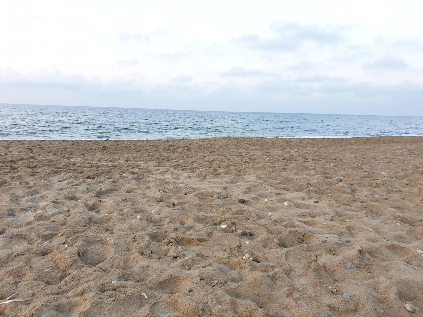 Foto - Hotel Kathrin Beach