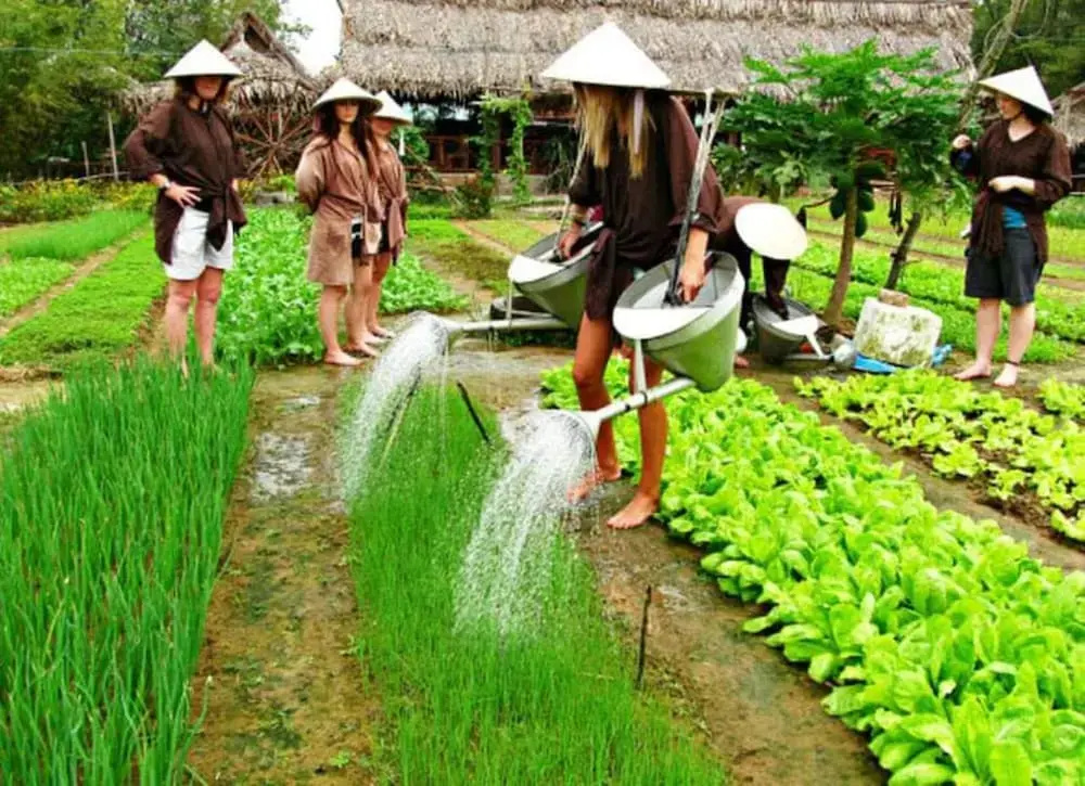Foto - La Gai Homestay Hoi An