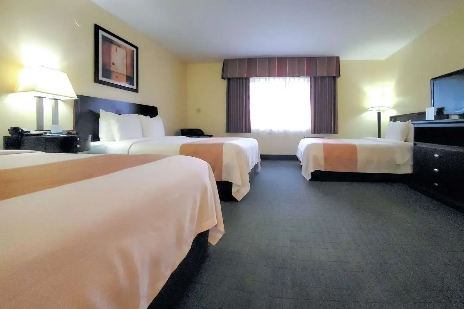 Foto - Quality Inn & Suites Anaheim at the Park
