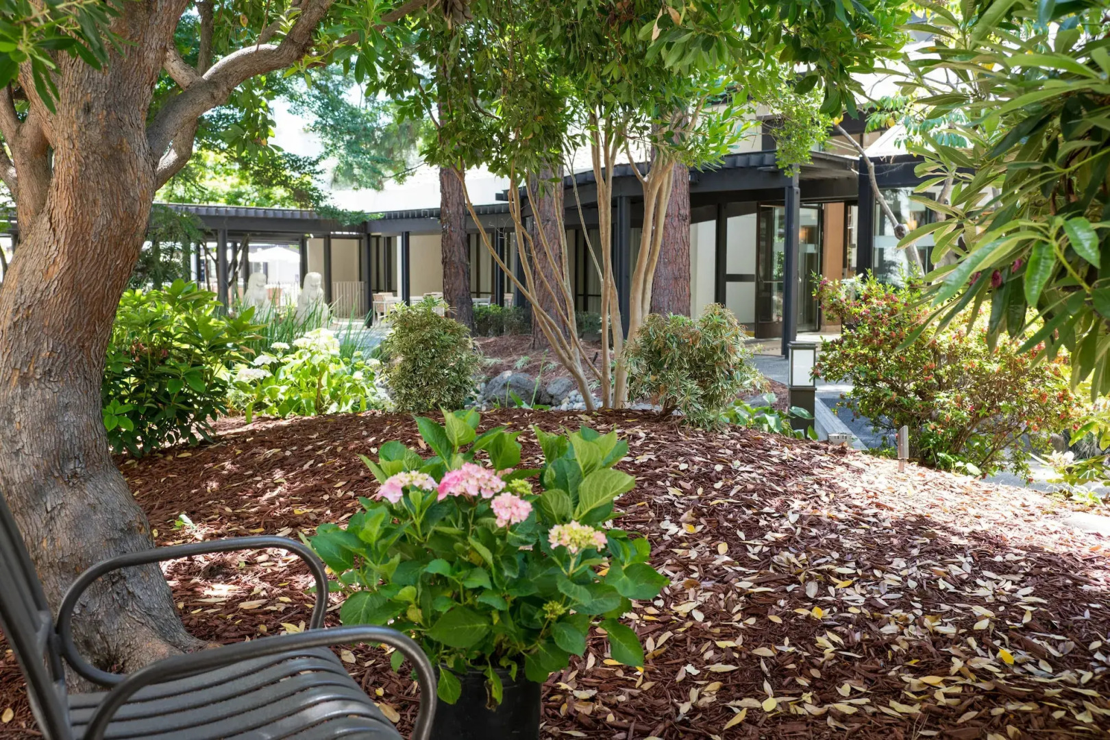 Foto - Sheraton Palo Alto Hotel