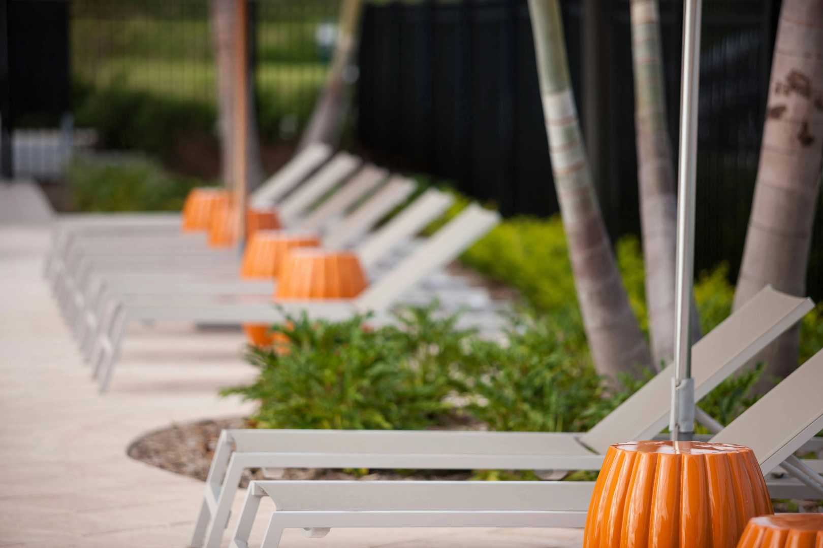 Foto - TownePlace Suites by Marriott Orlando at SeaWorld