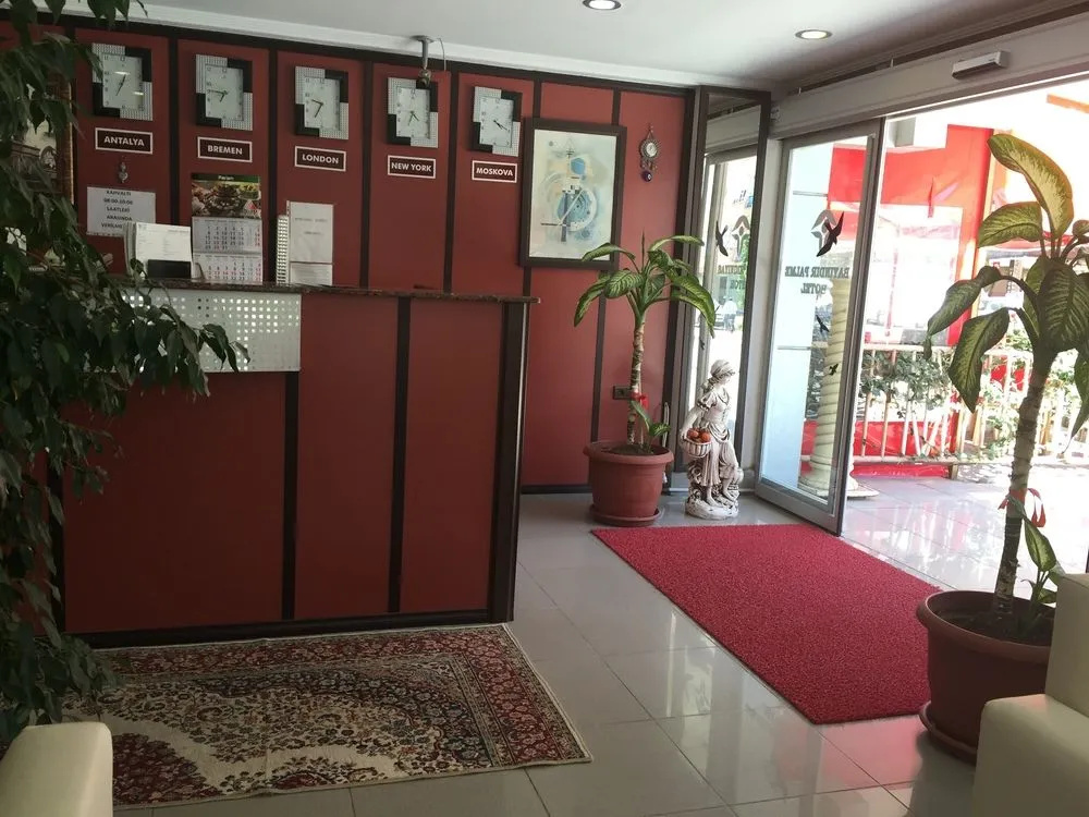 Foto - Bayindir Palme