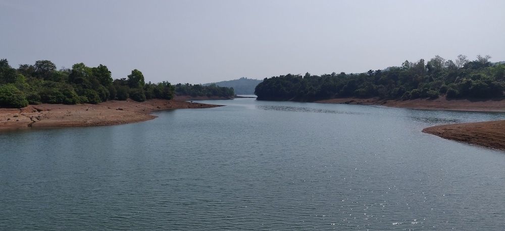 Paradise Wild Hills