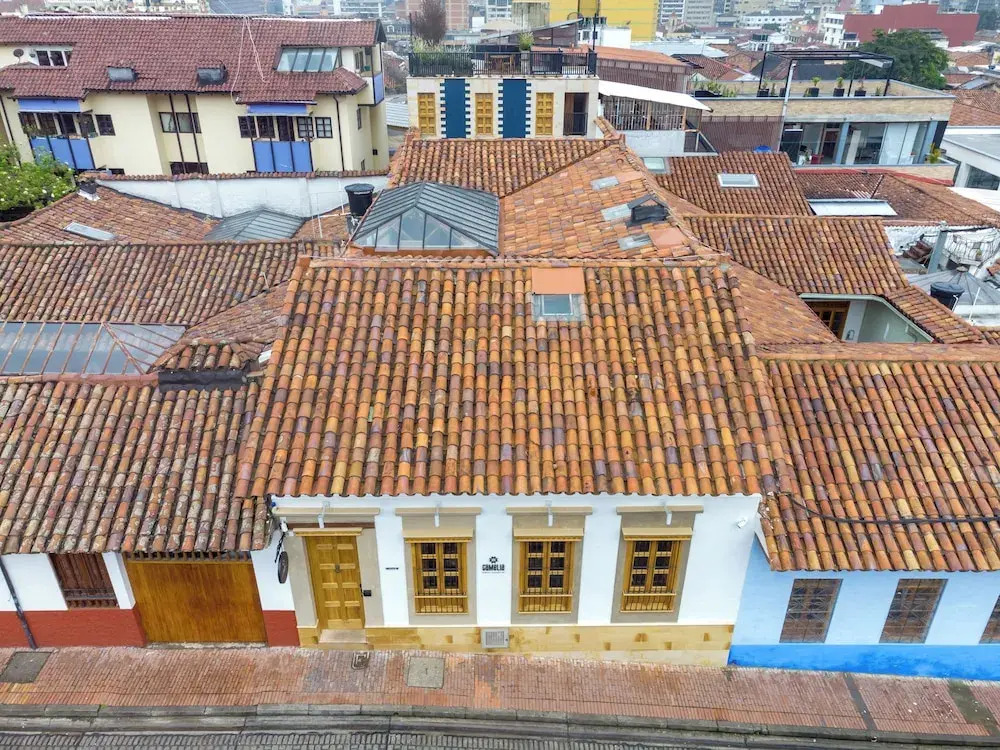 Foto - Camelia by Masaya Collection