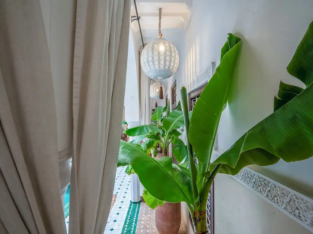 Foto - Riad Fleur De Sable