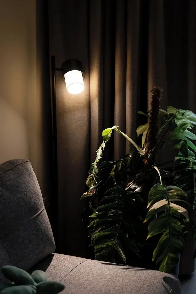 Photo - Urban Jungle Apartments