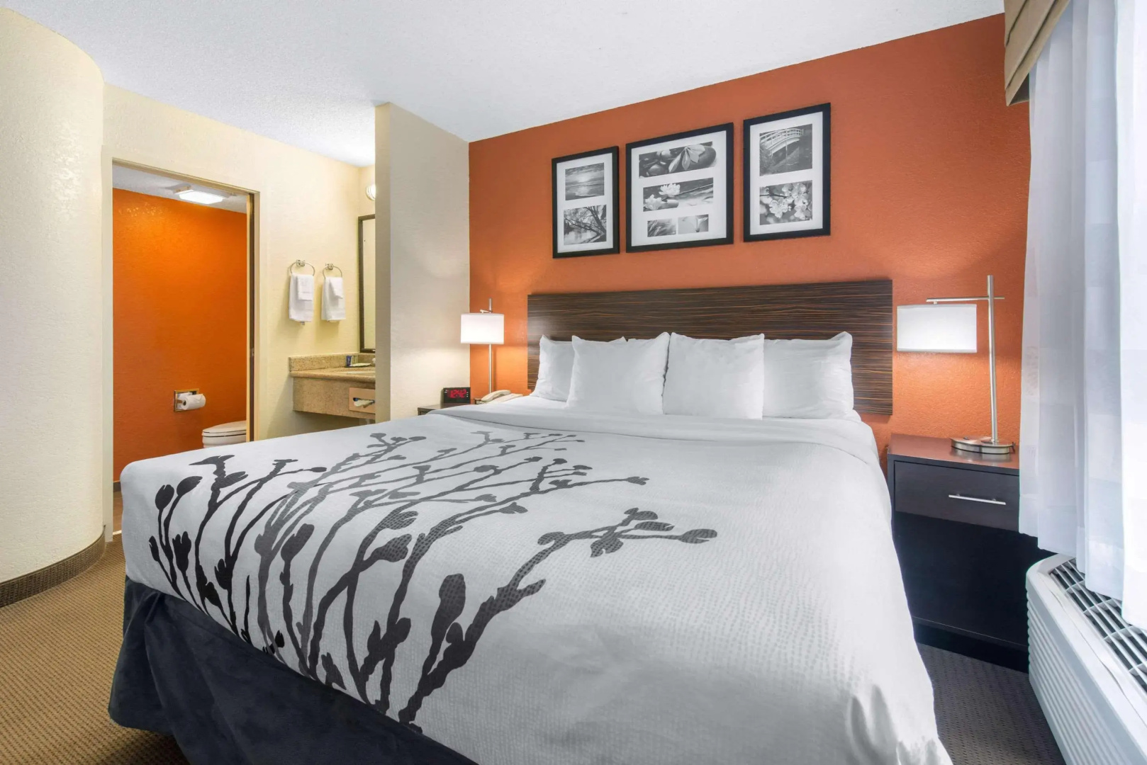 Foto - Sleep Inn Sarasota North