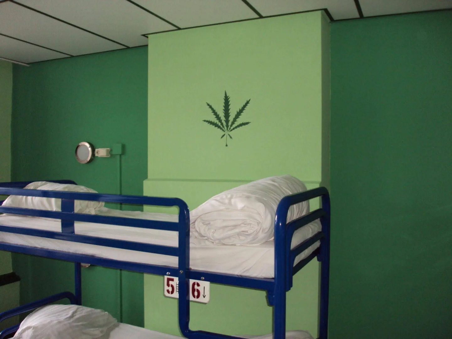 Foto - Flying Pig Uptown