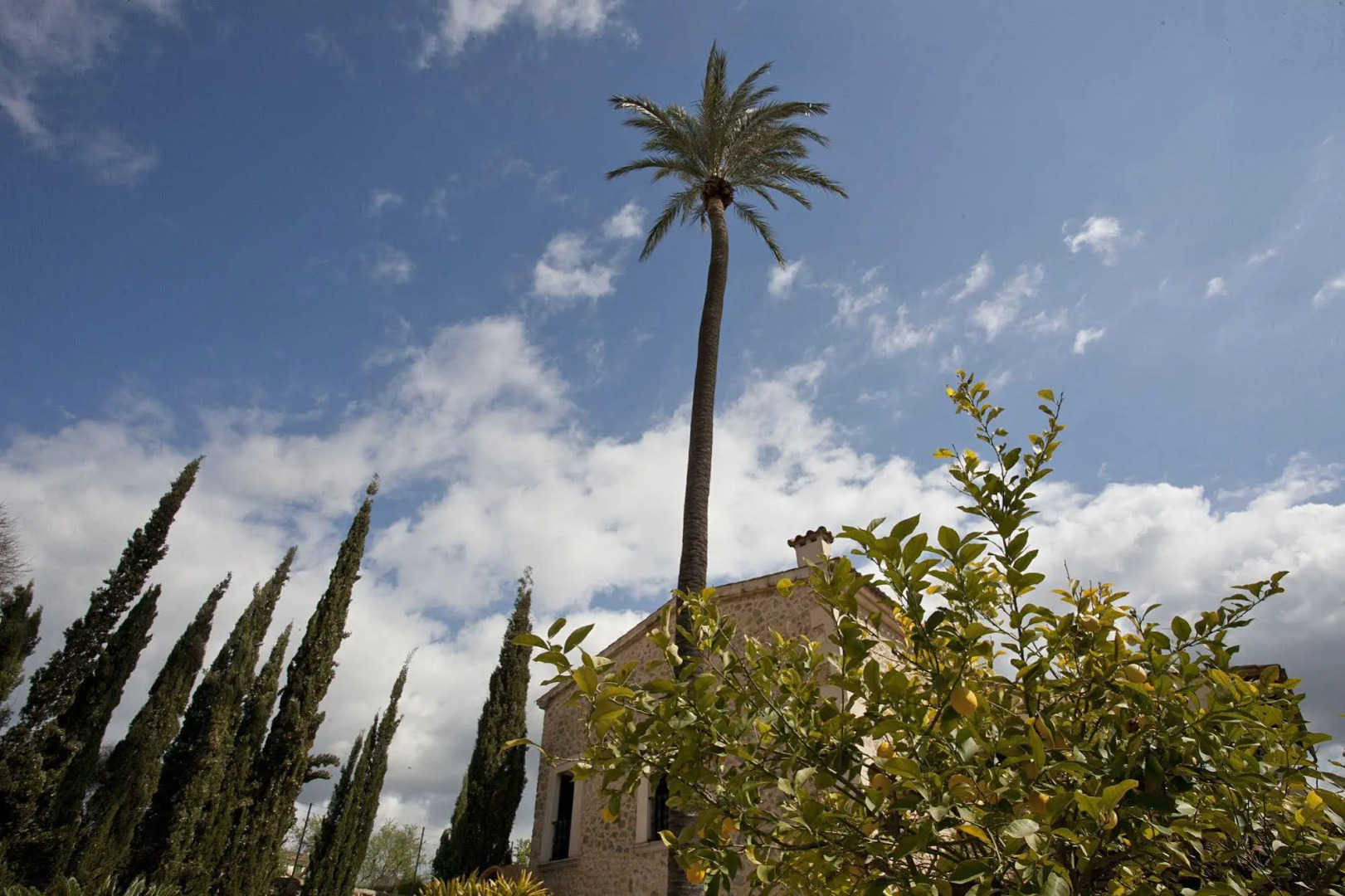 Photo - Agroturismo Sa Vinya des Convent