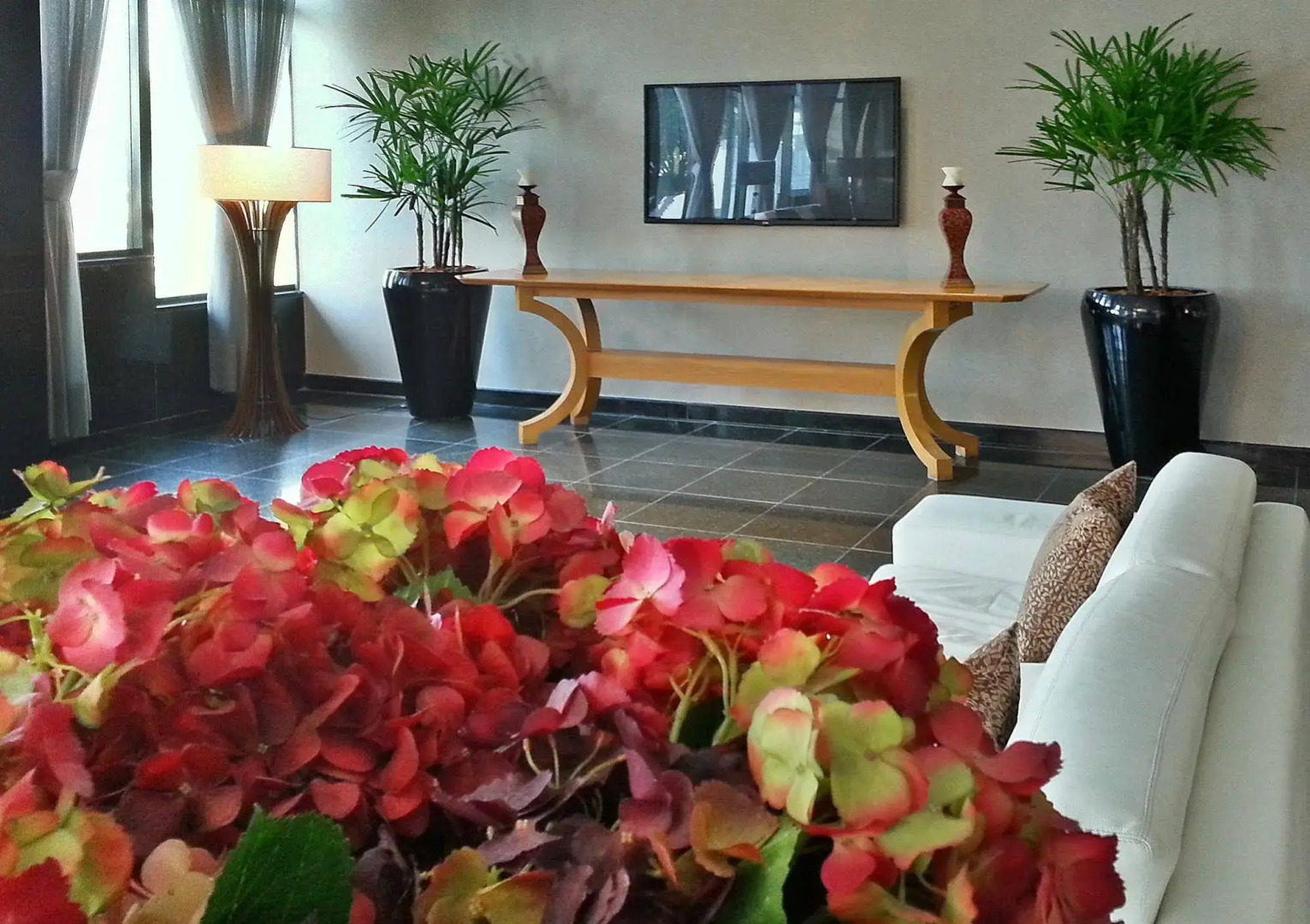 Photo - Royalty Barra Hotel