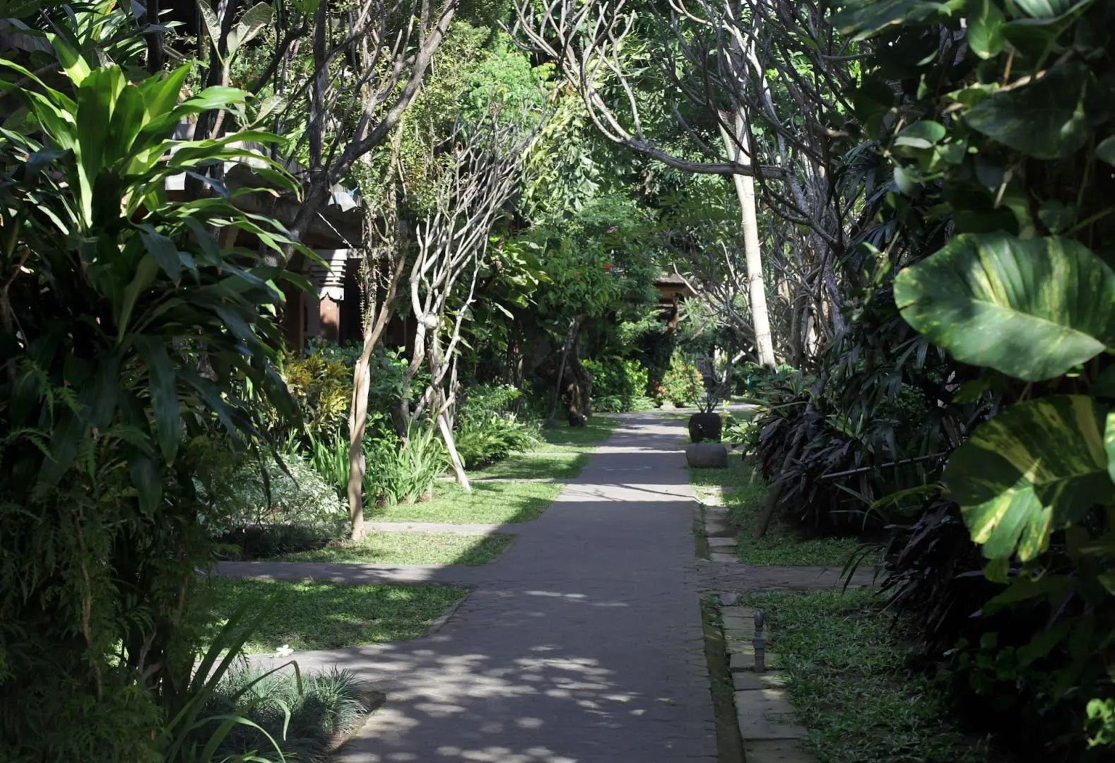 Foto - Matahari Bungalow