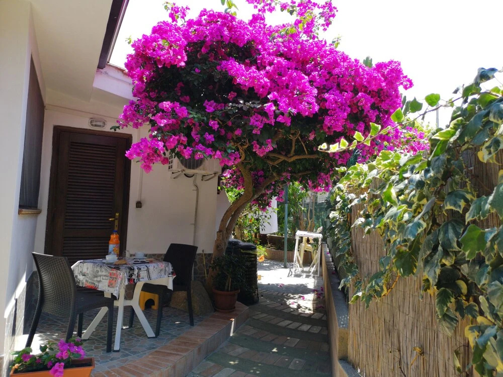 Photo - B&B Baia di Riaci Tropea