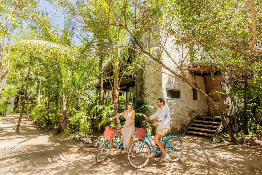 Foto - Vida Silvestre Tulum
