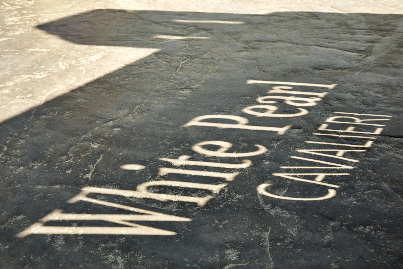 Foto - White Pearl Cavalieri