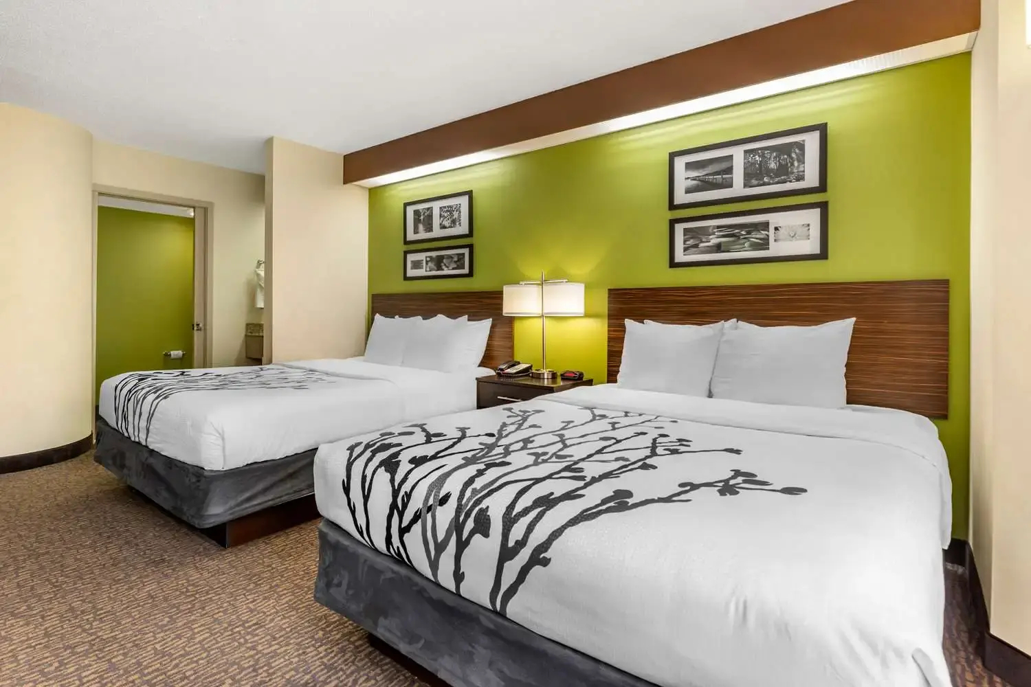 Foto - Sleep Inn Matthews-Charlotte