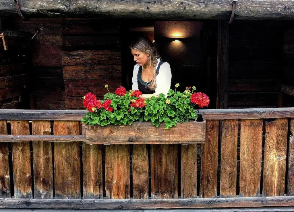Photo - Chalet Svizzero
